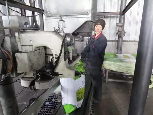 綏棱媒體走基層看發展 紡紗加工產業轉型升級，織就鄉村振興新畫卷
